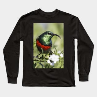 Double-collared Sunbird, South Africa Long Sleeve T-Shirt